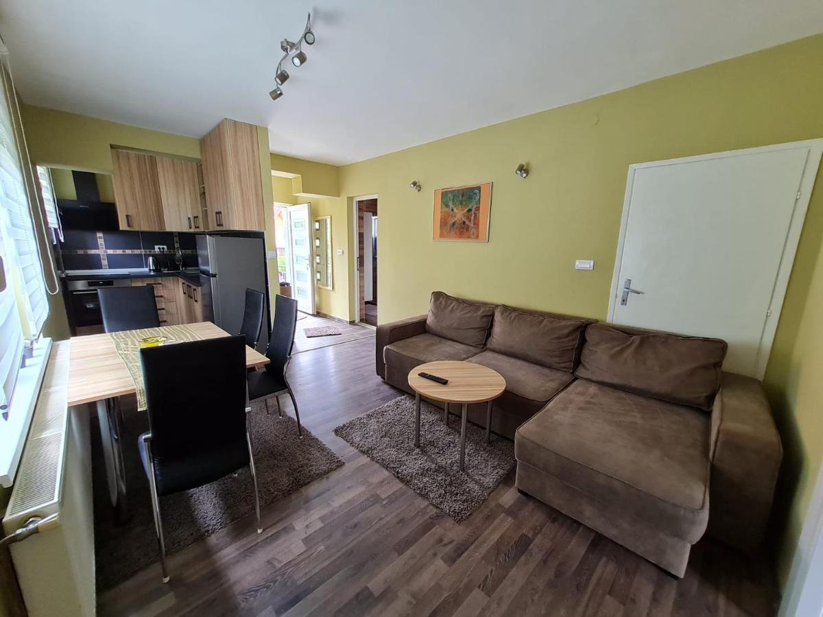 Appartement Apartman Boskovic à Sokobanja Extérieur photo