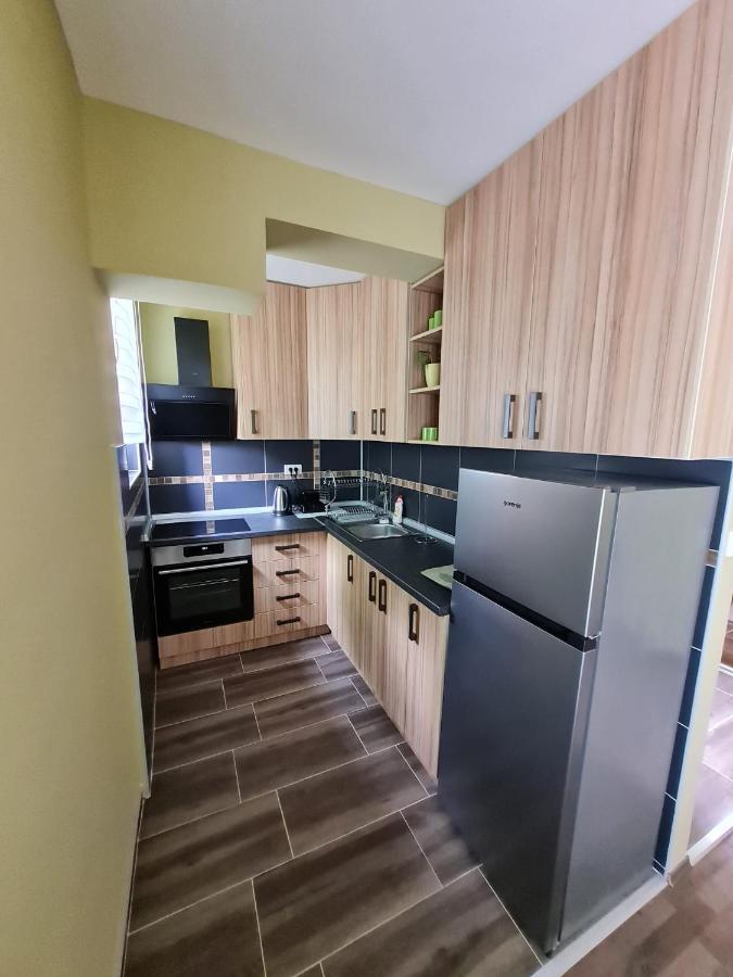 Appartement Apartman Boskovic à Sokobanja Extérieur photo